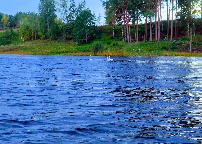 Prázdninový dům Sauna House Near Otepaeae Biathlon Stadium *
